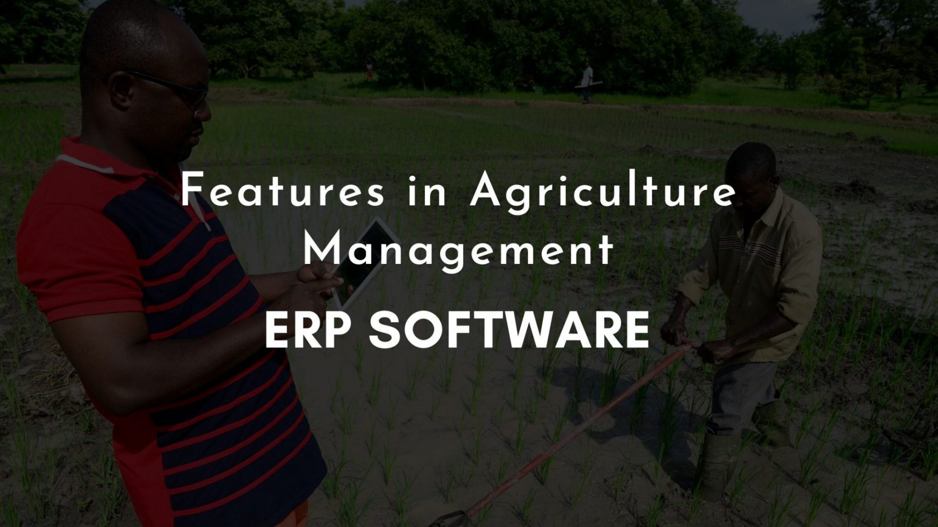 3 MustHave Features in Agriculture Management ERP Software Amity