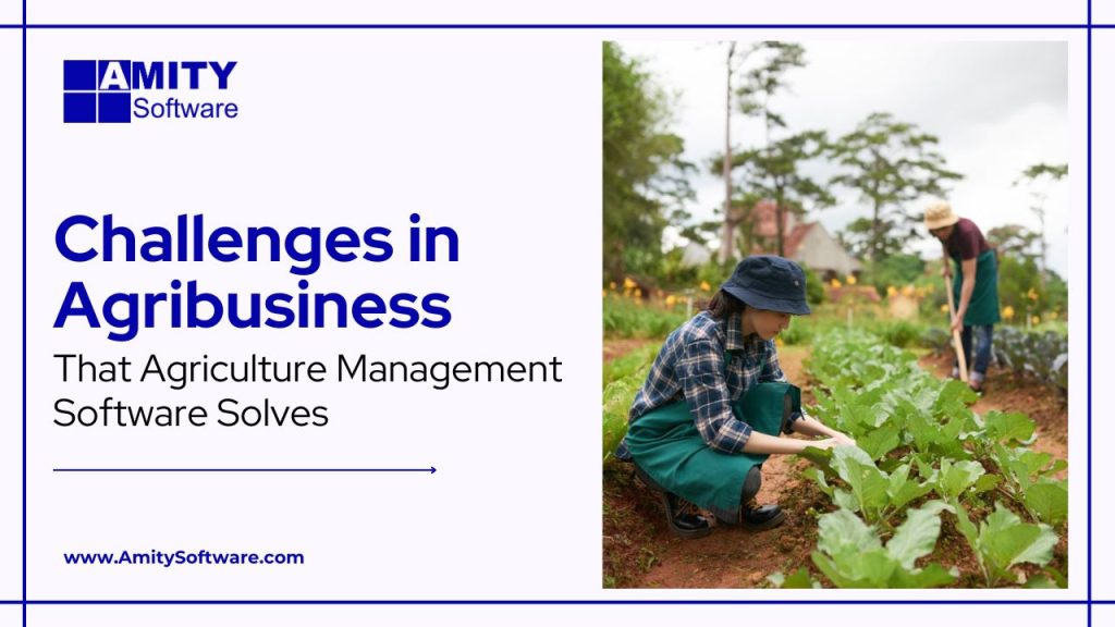 Top 7 Challenges in Agribusiness & How to Solve Them with Smart Software